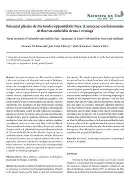 Potencial pl&aacute;stico de Nectandra oppositifolia