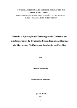 Disserta&ccedil;&atilde;o Il&aacute;rio Ruscheinsky