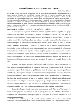 A EXPERI&Ecirc;NCIA EST&Eacute;TICA EM PONTOS DE CULTURA