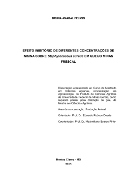Projeto TCC1 - Biblioteca Digital de Teses e Disserta&ccedil;&otilde;es da UFMG