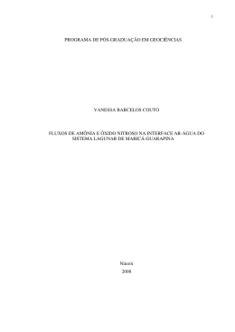 programa de p&oacute;s-gradua&ccedil;&atilde;o em geoci&ecirc;ncias vanessa barcelos