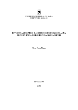 Fabio Costa - RI UFBA - Universidade Federal da Bahia