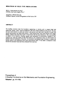 behaviour of piles type press-anchor