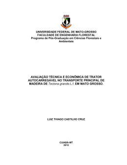 Disserta&ccedil;&atilde;o