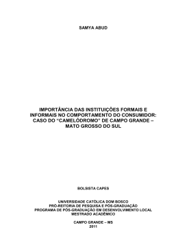 import&acirc;ncia das institui&ccedil;&otilde;es formais e informais no