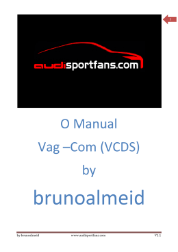 Manual Vag-Com by brunoalmeid