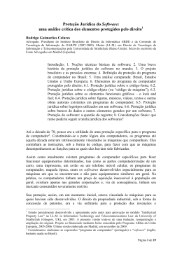 Prote&ccedil;&atilde;o Jur&iacute;dica do Software: uma an&aacute;lise cr&iacute;tica dos elementos