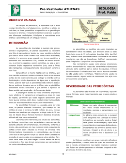 AULAS 19 E 20: Reino metaphyta – Traqueófitas