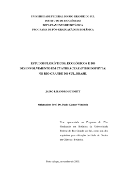 000529815 - Reposit&oacute;rio Institucional da UFRGS