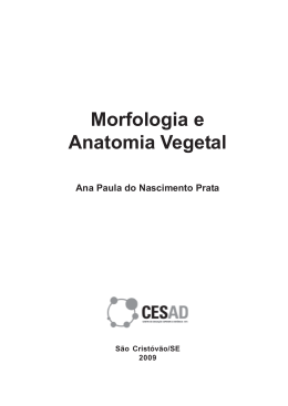 Morfologia e Anatomia Vegetal.pmd