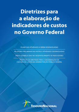 Diretrizes para a elabora&ccedil;&atilde;o de indicadores de