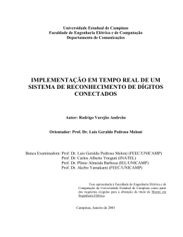 Visualizar - Biblioteca Digital da Unicamp