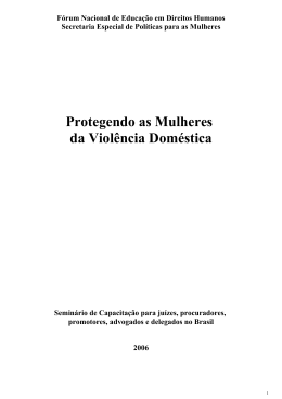 Protegendo as Mulheres da Viol&ecirc;ncia Dom&eacute;stica