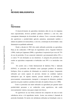 2 REVIS&Atilde;O BIBLIOGR&Aacute;FICA - Maxwell - PUC-Rio