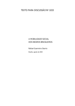 A Mobilidade Social dos Negros Brasileiros