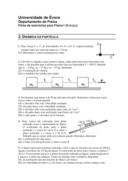 Dinâmica partícula - Universidade de Évora