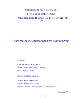 Concretos e argamassas com Microssílica - Conclusão de