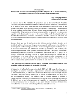 Informe Jurídico Análisis de la inconstitucionalidad