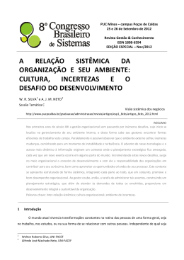 a rela&ccedil;&atilde;o sist&ecirc;mica da organiza&ccedil;&atilde;o e seu ambiente
