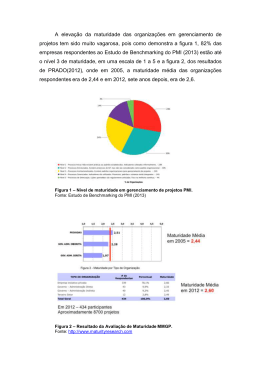 A eleva&ccedil;&atilde;o da maturidade das organiza&ccedil;&otilde;es em