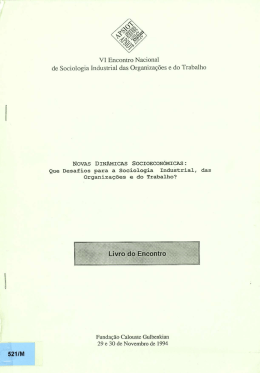que desafios para a sociologia industrial, das organizações e do