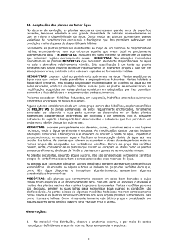11. Adapta&ccedil;&otilde;es das plantas ao factor &aacute;gua No decurso da evolu&ccedil;&atilde;o
