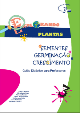 Explorando plantas... Sementes, germina&ccedil;&atilde;o e crescimento