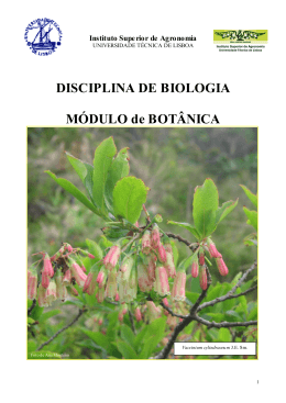 MANUAL_BOTANICA_Fev2.. - Instituto Superior de Agronomia