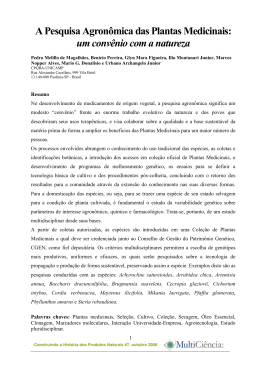 A Pesquisa Agron&ocirc;mica das Plantas Medicinais: um