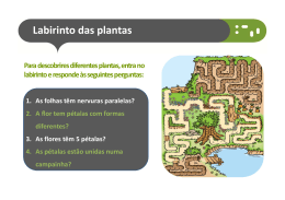 Labirinto das plantas