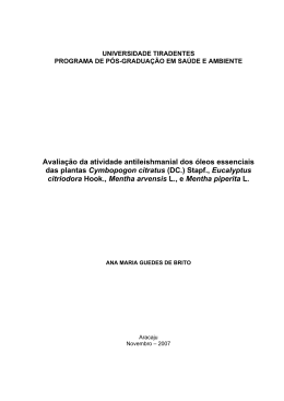 Disserta&ccedil;&atilde;o Ana Guedes