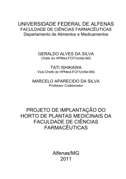 PROJETO DE IMPLANTA&Ccedil;&Atilde;O DO HPMed - Unifal-MG