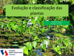 Evolução e classificacao das plantas