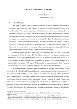 1 INJUSTI&Ccedil;A AMBIENTAL EM MANAUS Elenise