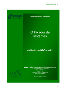 O Fixador de Instantes