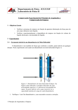 Departamento de F&iacute;sica - ICE/UFJF Laborat&oacute;rio de F&iacute;sica II