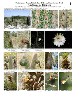 Cactaceae de Ibitipoca