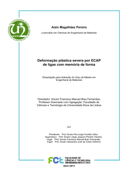 Deforma&ccedil;&atilde;o pl&aacute;stica severa por ECAP de ligas com mem&oacute;ria