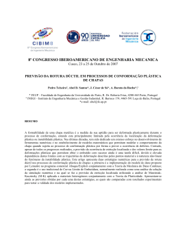 8&ordm; CONGRESSO IBEROAMERICANO DE ENGENHARIA MECANICA