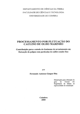 processamento por flutua&ccedil;&atilde;o d0 - Estudo Geral