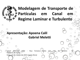 Modelagem de Transporte de Partículas em Canal - GESAR