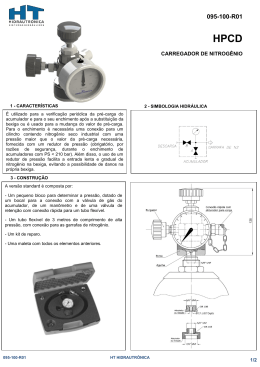 095-100-R01 - HT-Hidrautrônica Sistemas Hidráulicos LTDA
