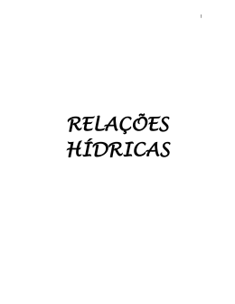 RELA&Ccedil;&Otilde;ES H&Iacute;DRICAS