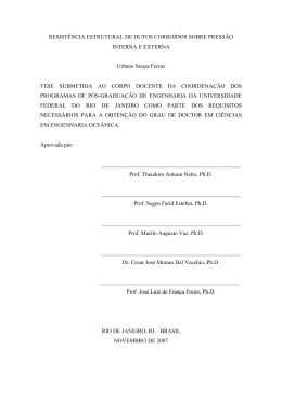 RESIST&Ecirc;NCIA ESTRUTURAL DE DUTOS CORRO&Iacute;DOS SOBRE