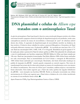 DNA plasmidial e celulas de Allium cepa tratados com o