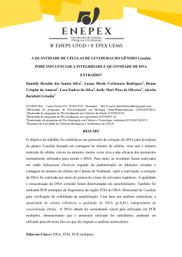 A QUANTIDADE DE CÉLULAS DE LEVEDURAS DO