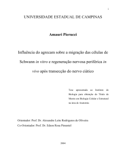 Visualizar - Biblioteca Digital da Unicamp