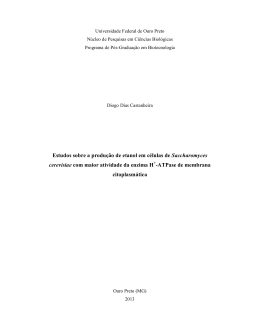 Estudos sobre a produ&ccedil;&atilde;o de etanol em c&eacute;lulas de - nupeb
