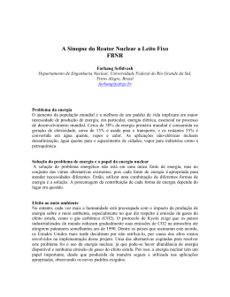 A Sinopse do Reator Nuclear a Leito Fixo