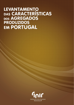 Levantamento das Caracter&iacute;sticas dos Agregados produzidos em